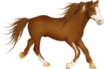      (700x470, 236Kb)