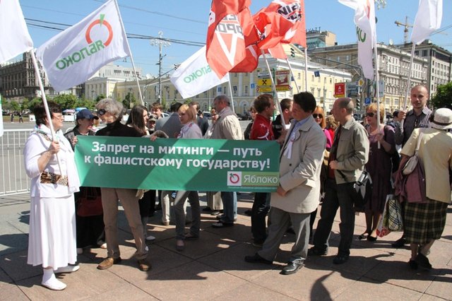 Госдума приняла скандальный закон о «цене на протест»