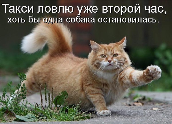 http://img1.liveinternet.ru/images/attach/c/5/87/996/87996057_i23431.jpg