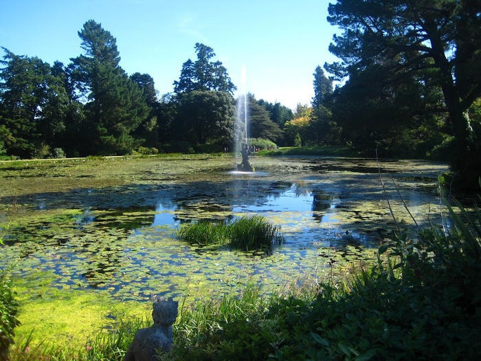 Powerscourt Gardens -Сад Пауэрскоурт . 38392