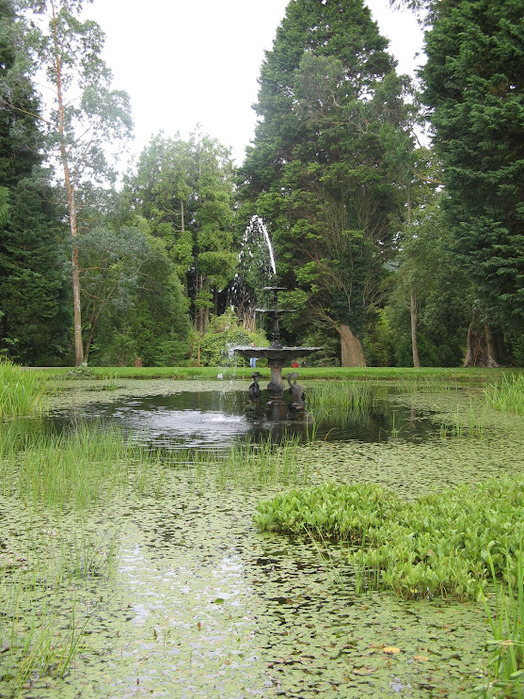 Powerscourt Gardens -Сад Пауэрскоурт . 65512