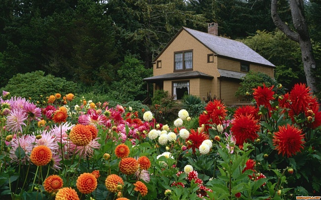 дом в саду (650x406, 158Kb)