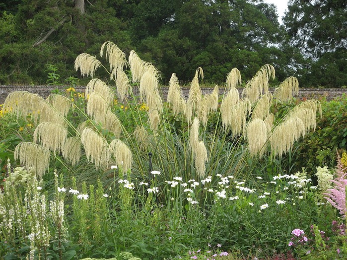 Powerscourt Gardens -Сад Пауэрскоурт . 88897