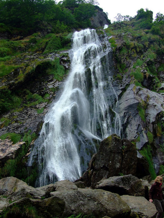 Powerscourt Gardens -Сад Пауэрскоурт . 86423