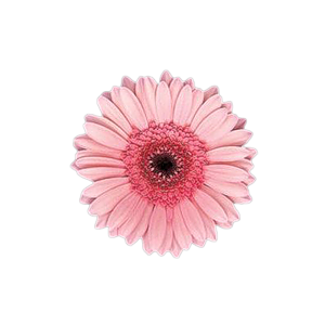0_71669_8e403c3d_M (300x300, 62Kb)