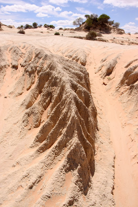 Национальный Парк Манго - Mungo National Park 88184