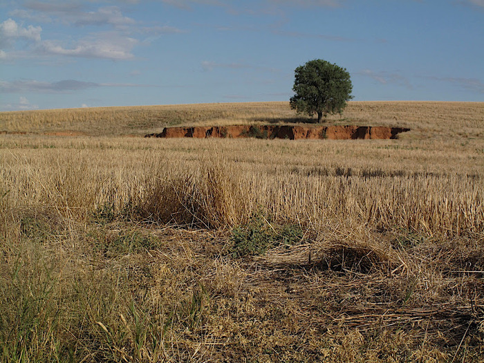 Национальный Парк Манго - Mungo National Park 32182