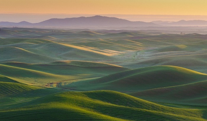 3925073_palouse3 (700x409, 64Kb)