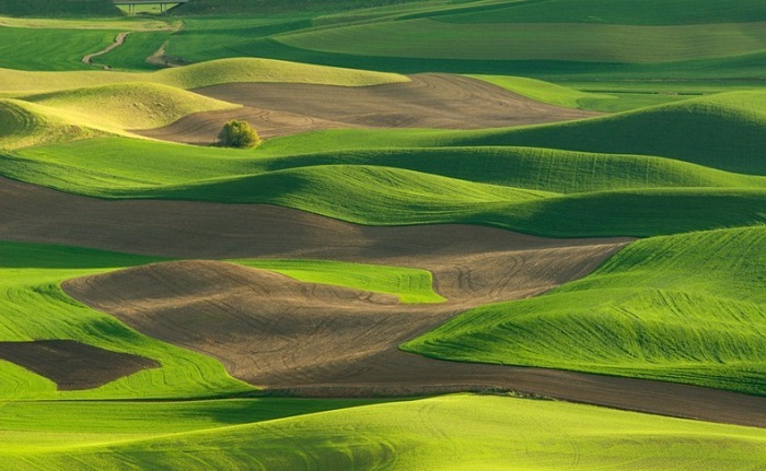 3925073_palouse4 (700x431, 92Kb)