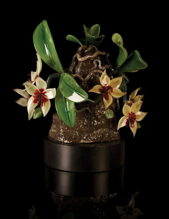 Phalaenopsis-violacea (540x700, 215Kb)