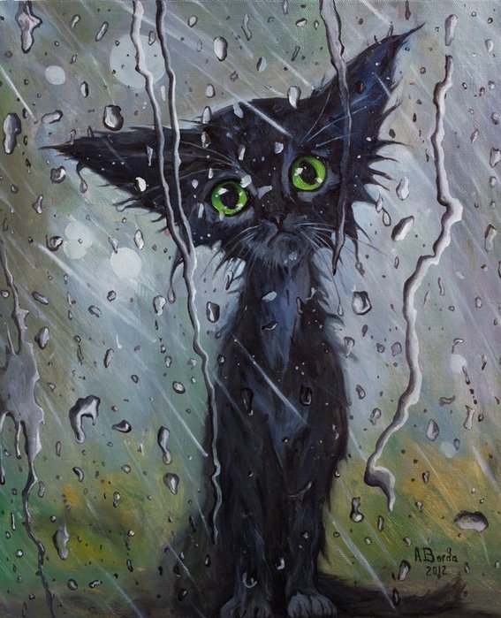 кот