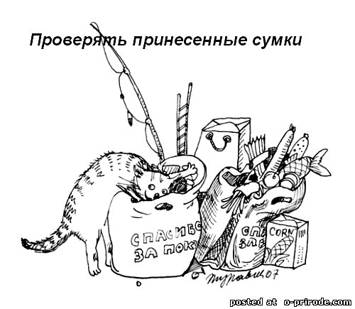 Kot_umet_10 (500x435, 40Kb)