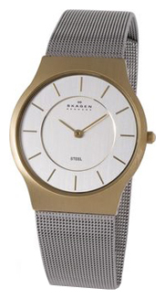 Часы Skagen 233LGS (181x327, 35Kb)