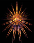  fractal-images26 (500x630, 69Kb)