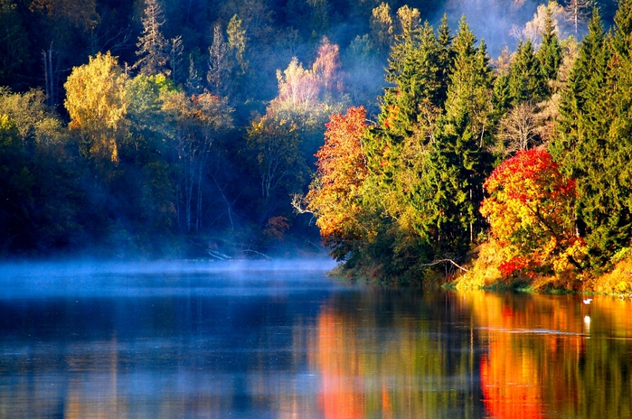 3303834_1o_3 (700x464, 304Kb)