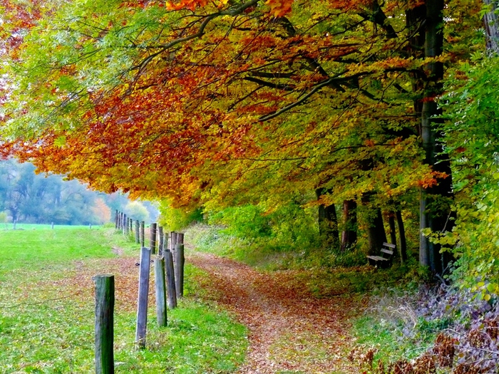 3303834_1o_13 (700x525, 345Kb)