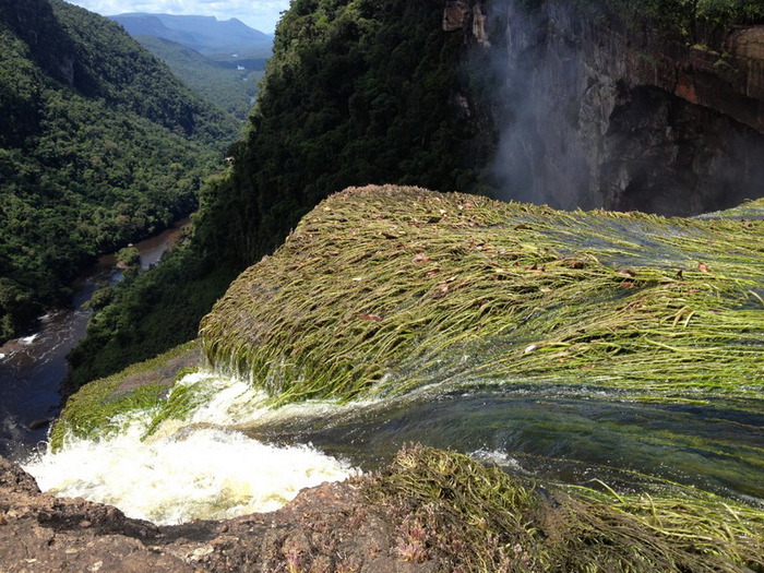 Водопад Кайетур в Гайане