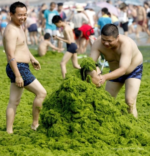 Большой зелёный прилив (China hit by largest ever algae bloom)