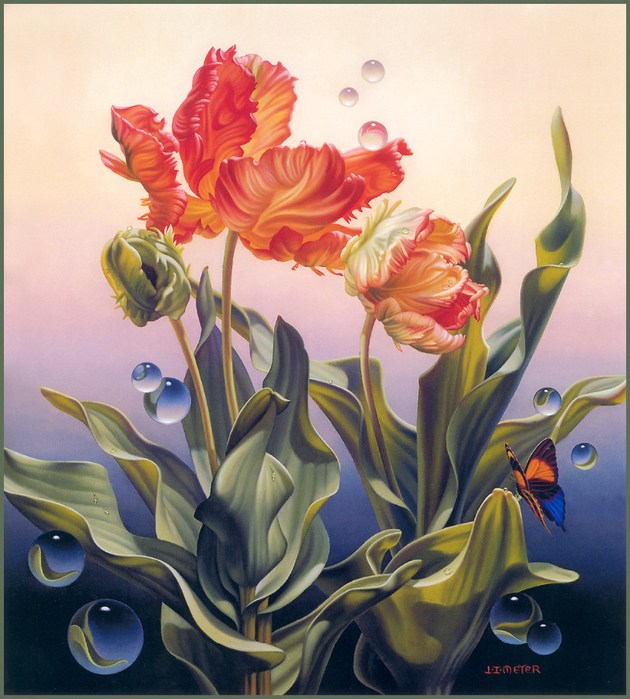 061_Ilene_Meyer_PinkParrotTulips (630x700, 539Kb)