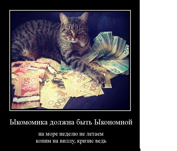 демотиватор с котом демотиваторы коты кот полосатый кот деньги демотиватор кризис море демотиватор (700x598, 260Kb)