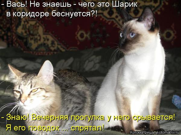 600x720-2c050fcf3e073a48997445ce8b1381f3_106652 (600x449, 213Kb)
