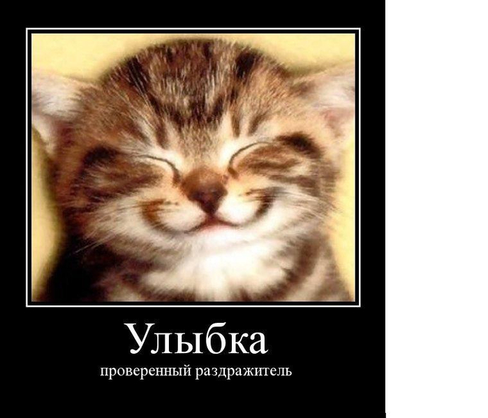 демотиваторы с котами  рыжий коричневый кот полосатый кот улыбка (700x598, 213Kb)