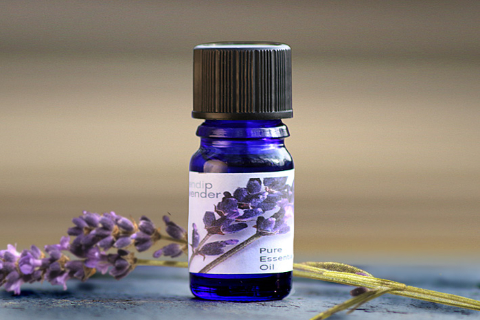 lavender-oil (700x466, 330Kb)