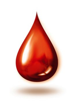 blood-drop (250x353, 36Kb)