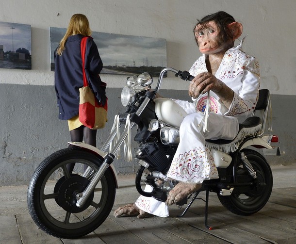 Выставка современного искусства 'OSTRALE', Дрезден, Восточная Германия, 13 июля 2012 года