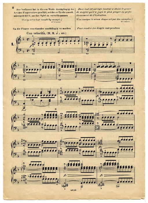 musicsheet-graphicsfairy005sm (511x700, 330Kb)