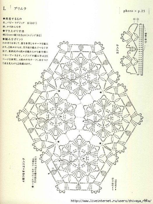 Note Crochet Motif and Edging_65 (525x700, 291Kb)