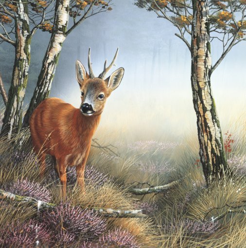 Jan-Weenink-Deer-in-forest (506x510, 132Kb)