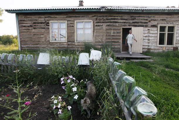 Ферма пчеловода Валерия Титова, окрестности деревни Новопятницкое, 15 июля 2012 года.