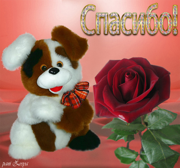 4800487_c291a5a0e726 (600x563, 100Kb)