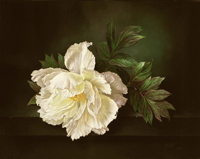 SINGLE WHITE PEONY ON SHELF 36x46 cms Oil on canvas 1996 (700x557, 67Kb)