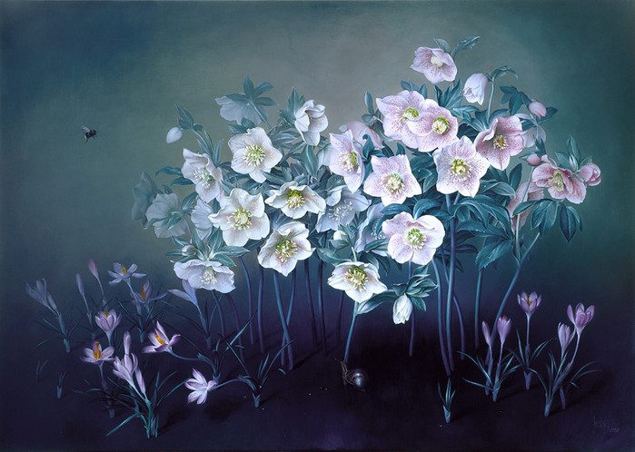 WHITE CHRISTMAS ROSE Oil on canvas 61x86 cms 2002 copy (700x498, 87Kb)