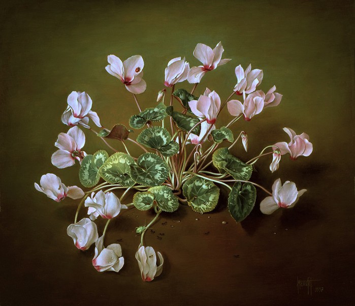 WOODLAND PINK CYCLAMENT PLANT 41x46 cms oil on canvas 1997 (700x602, 92Kb)