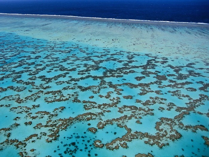 Лучшие достопримечательности Австралии - Большой Барьерный Риф 3 (700x525, 145Kb)