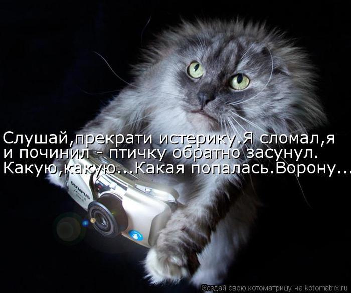 Котоматрица-2012. Выпуск 31 kotomatritsa_hV (700x584, 54Kb)