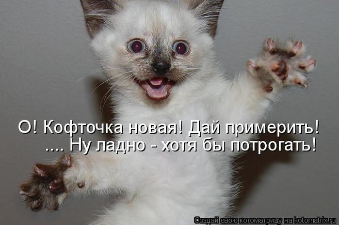 Котоматрица-2012. Выпуск 31 kotomatritsa_KJ (700x465, 43Kb)