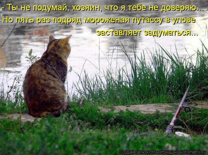 Котоматрица-2012. Выпуск 31 kotomatritsa_NI (700x523, 84Kb)