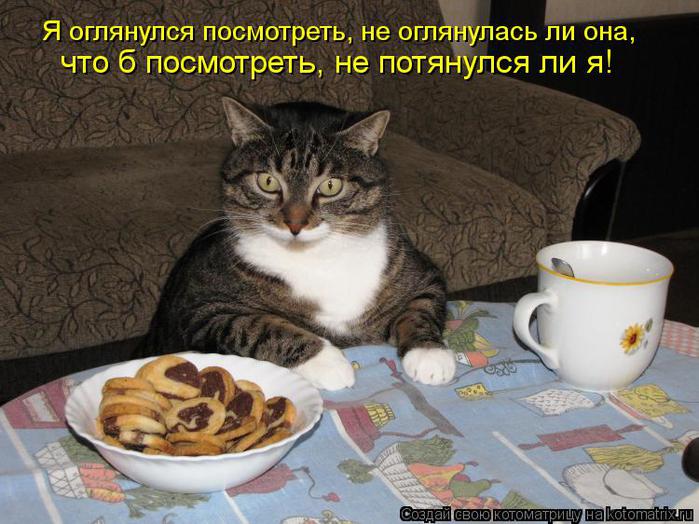 Котоматрица-2012. Выпуск 31 kotomatritsa_O (700x524, 66Kb)