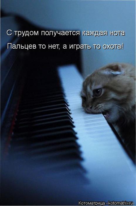 Котоматрица-2012. Выпуск 31 kotomatritsa_P3 (464x700, 32Kb)