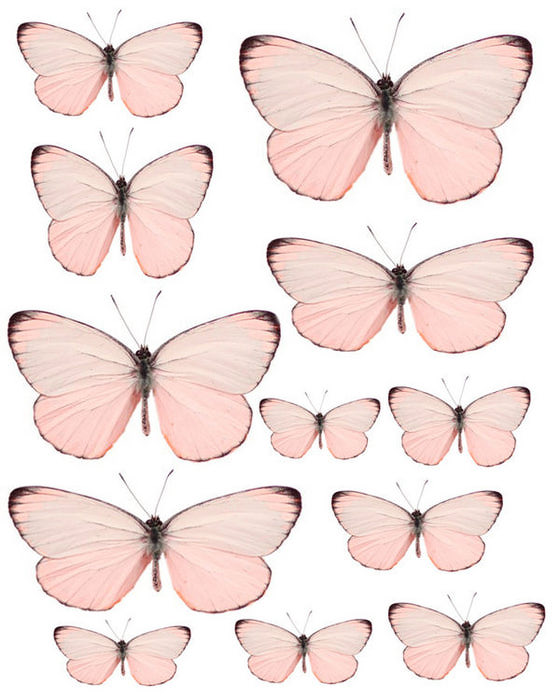 1328109583_55_FT838_pale_pink_butterflies_ (560x700, 68Kb)