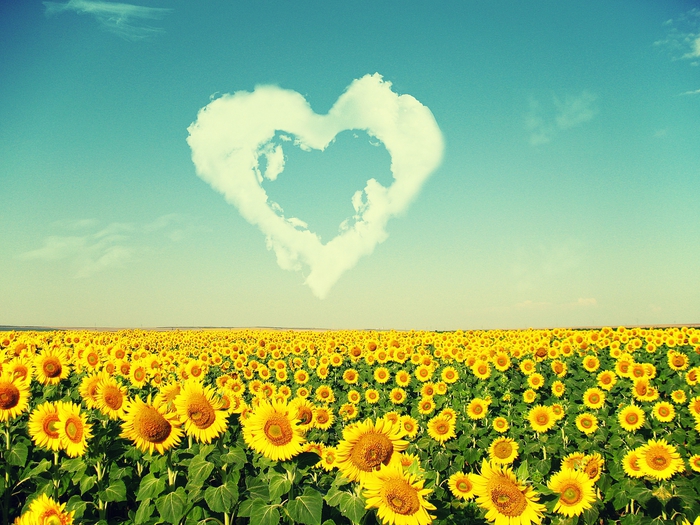 2749438_summer_sun_by_louisebittersweet_1_ (700x525, 335Kb)
