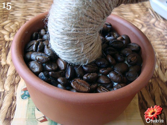 Поделки из кофейных зерен мастер класс дерево банзай
