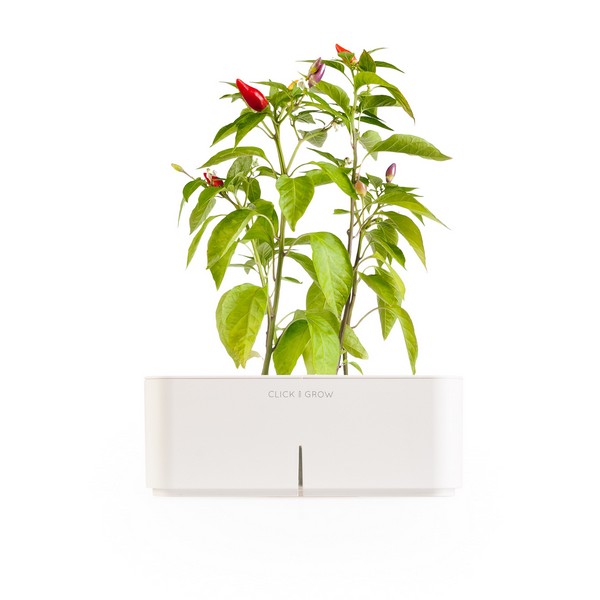 электронный горшок для цветов Click and Grow 4 (600x600, 39Kb)