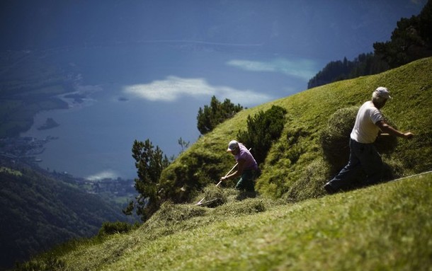 Дикий сенокос близ швейцарской деревни Флюелен, 20 августа 2012 года