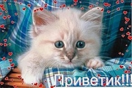 http://img1.liveinternet.ru/images/attach/c/6/90/788/90788315___272_.jpg