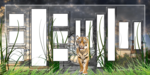  8 (700x350, 416Kb)